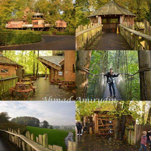 DSC_1018-tile edit edit