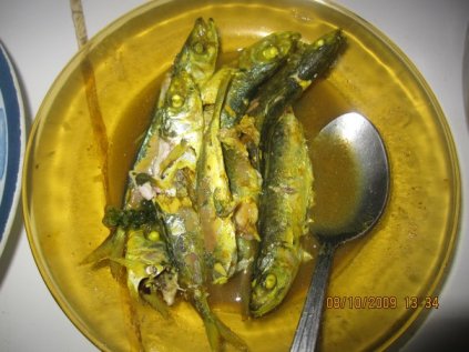 14262_1156921124837_5206041_n